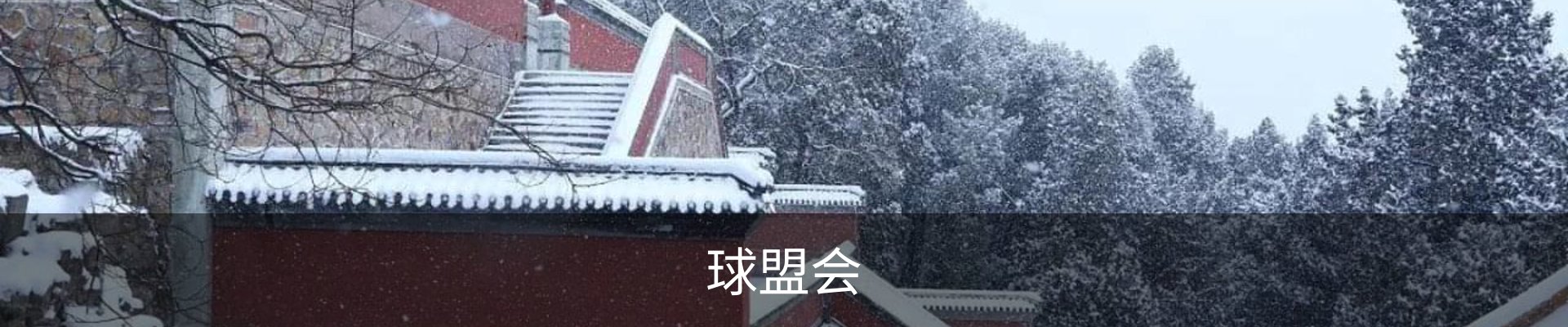 球盟会 - 企业品牌动态与官方赛事信息中心|QM Sports